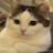 @justanothermeowmeow