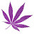 @Cannatrends
