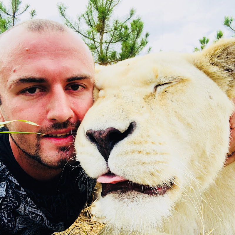 Парк Львов ТАЙГАН с Денисом Алексагиным Logo