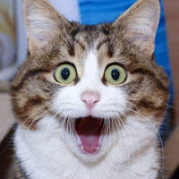 Pets Farm profile image