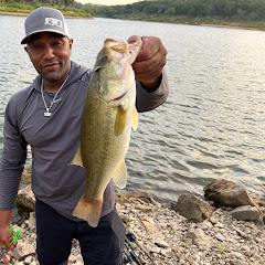 Tulsa Bass Professor