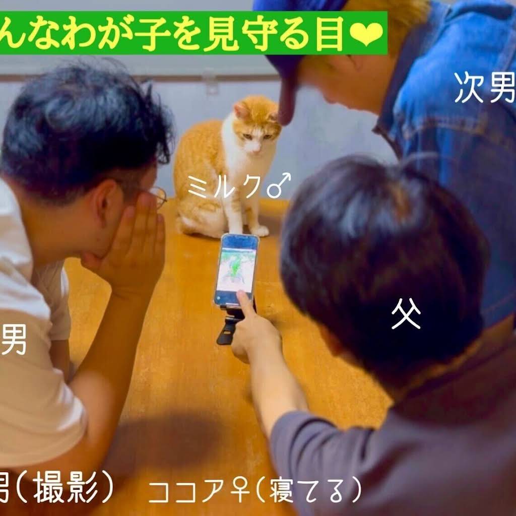 父と子つなぐおべんとう - YouTube