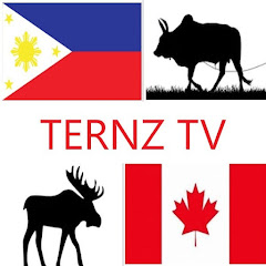 Ternz TV Avatar