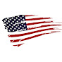 The American Voice logo