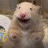 @NA_U_b