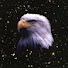ME3yKUNnqH0-channel-avatar-The Space Eagle