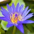 FivVgUpJuCI-channel-avatar-พุทธวจน ธรรม