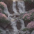 @itx.yusraa