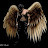 @LarKange01280's avatar