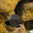 @aquariumhacksbymarcus5653 Avatar