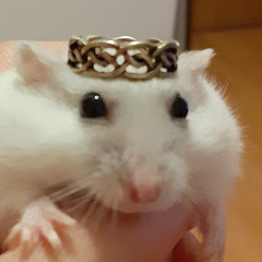 LoliPolly