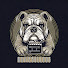 mMrFvY3Wyf0-channel-avatar-MovieBulldog
