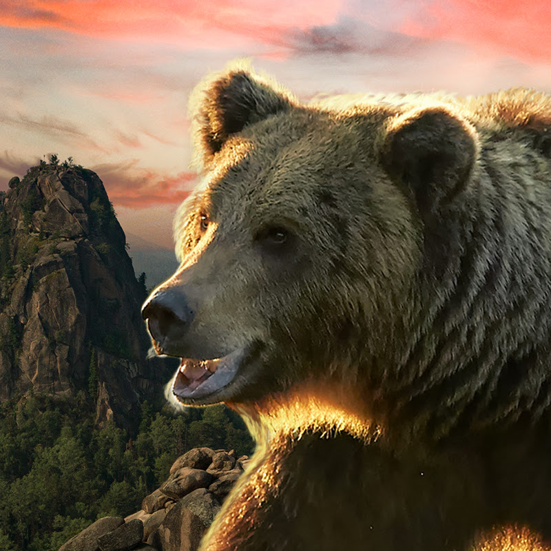 ИСТОРИИ ИЗ РОССИИ Logo