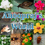 Anoopraj's World logo