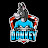 Donkey Gaming