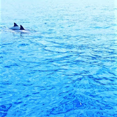 癒しの船アイコン画像