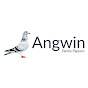 Angwin Family Pigeons logo