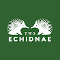 Two Echidnae Podcast from Advancing Wound Care logo