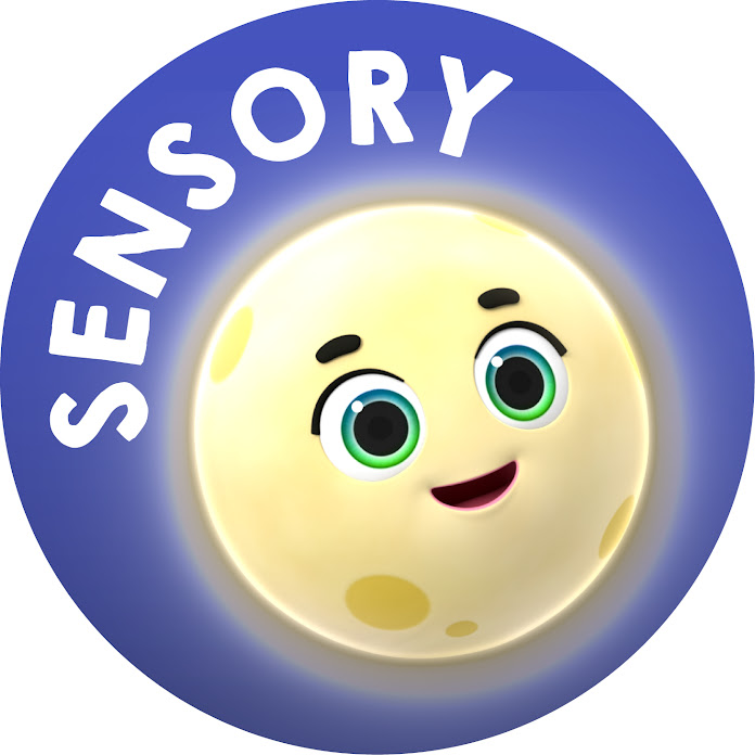 Baby Sensory – Calming Bedtime Songs for Babies Net Worth & Earnings (2024)