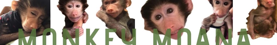 Monkey Moana Awatar kanału YouTube