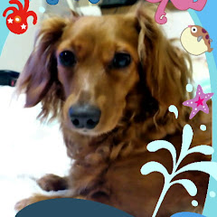 Cocochan