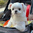 @Winter-g5g4f