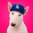 HwQos062DrY-channel-avatar-MLBWalters