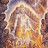 @GingerLiciousVibes Avatar