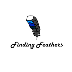 Finding Feathers