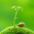 YV4sEUylg8U-channel-avatar-Green Orchid Garden