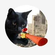 Virtual Cat