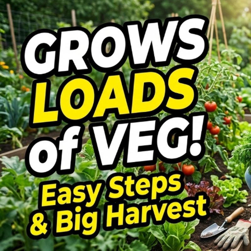 Alexa Gardening Tips