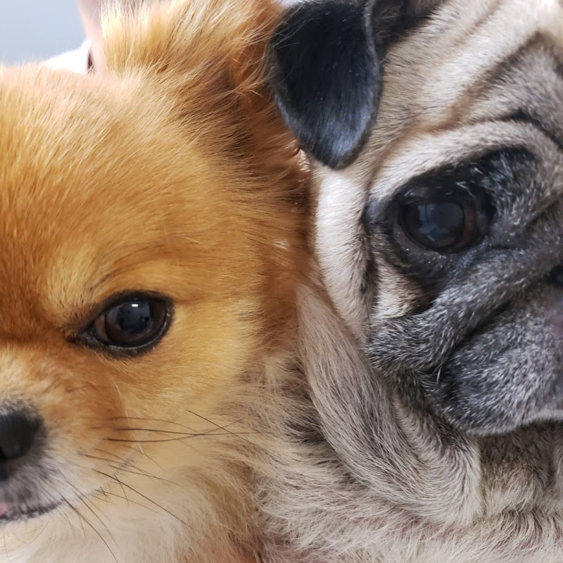 すけさんかくさんファミリー