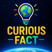 Curious Fact JP