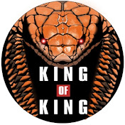 King of King - king cobra keeper