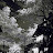 Avatar of @emersonparker-q5w