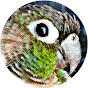 Parrot's Home logo