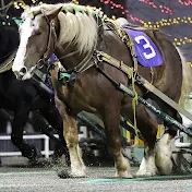 輓曳【ばんえい】チャンネル