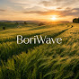0iN5RHbZExY-channel-avatar-BoriWave