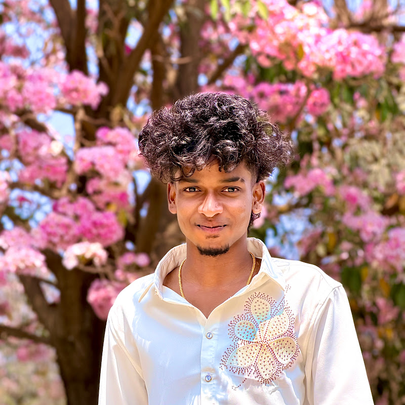 Twin Vloggers Tamil