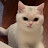 @heekong_0710