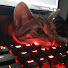 aHExXEkV8uM-channel-avatar-skryzowane