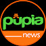 kG-rsqonXmg-channel-avatar-Pupia News