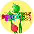 MUzLuhjoJB8-channel-avatar-ဓမ္မရောင်ခြည်