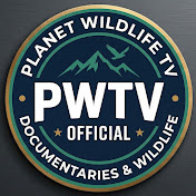 PWTV Official