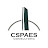 CSPAES CONSULTORIA