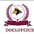 rZ9O1QWqJys-channel-avatar-Doglopedix