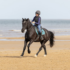 Thea_Equestrian