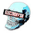 EgY5LhAO39k-channel-avatar-Electrofish Surfboards