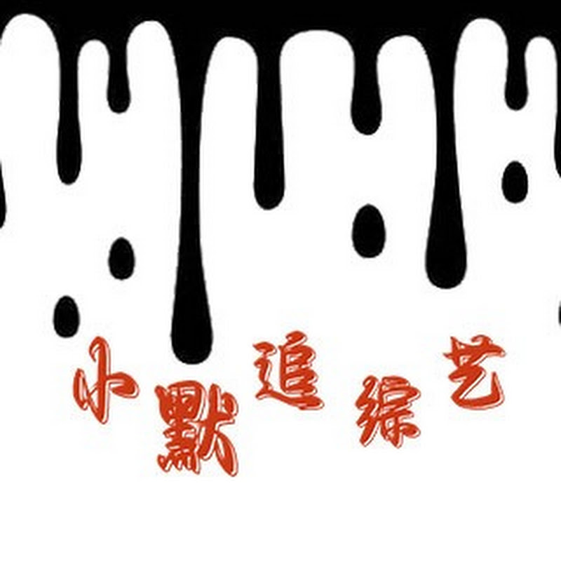 小默追综艺 Logo